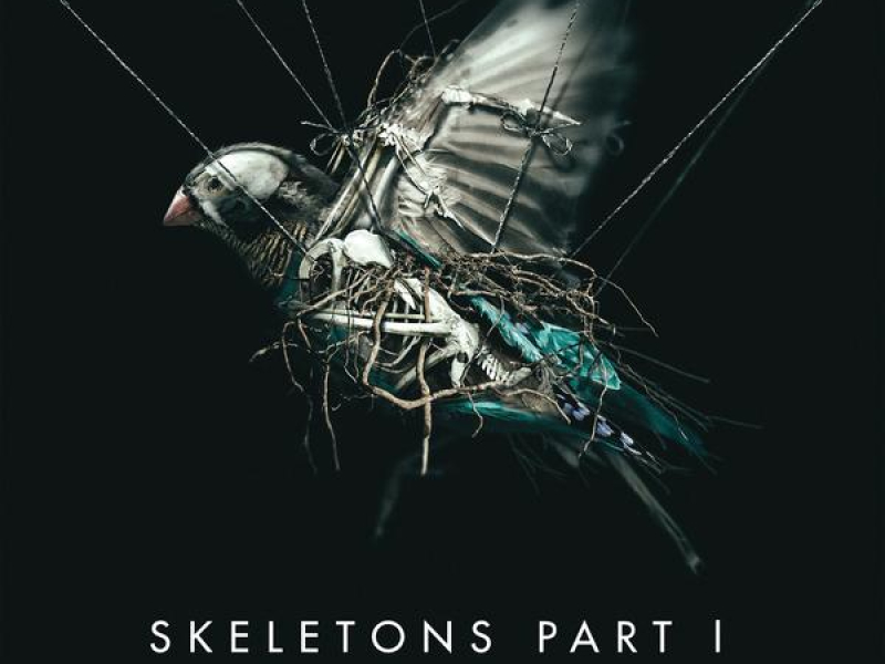 Skeletons: Part 1