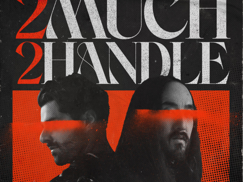 2 Much 2 Handle (Single)