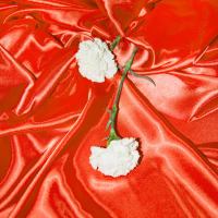 Entre Sedas Live Sessions (EP)