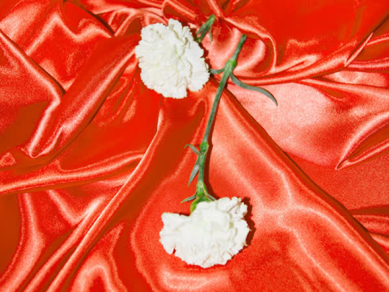 Entre Sedas Live Sessions (EP)