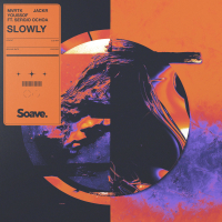 Slowly (feat. Sergio Ochoa) (Single)