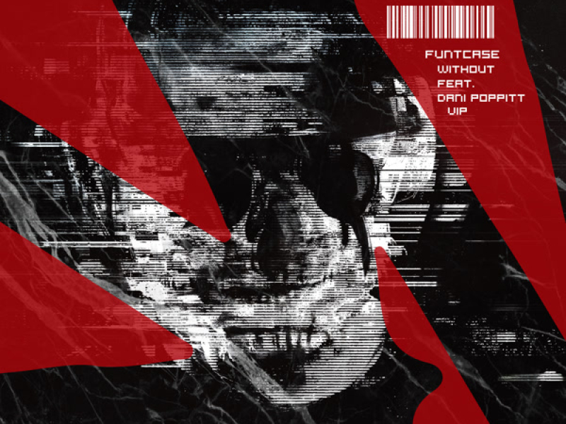 Without feat. Dani Poppitt (VIP) (Single)