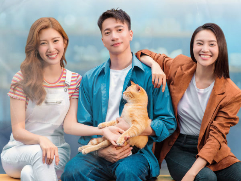 Ngày Thương Tháng Nhớ Năm Đợi (Single)