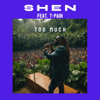Too Much (feat. T-Pain) (Jungle) (Single)