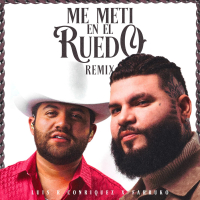 Me Metí en el Ruedo (Remix) (Single)