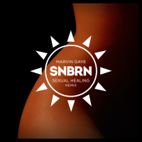 Sexual Healing (SNBRN Remix) (Single)