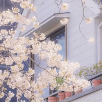 爱自己的方式有很多种 (Single)