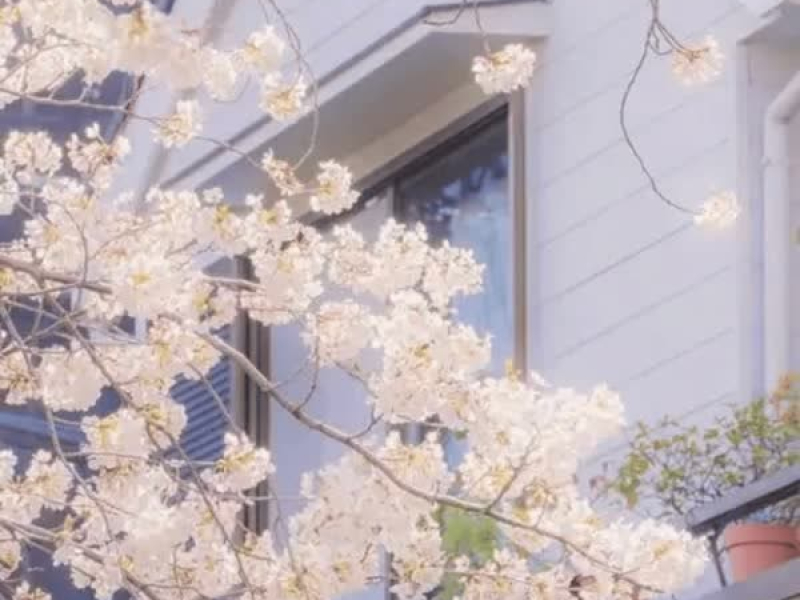 爱自己的方式有很多种 (Single)