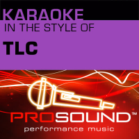 Karaoke - In the Style of TLC (Professional Performance Tracks)