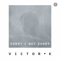 Sorry/not Sorry (Single)