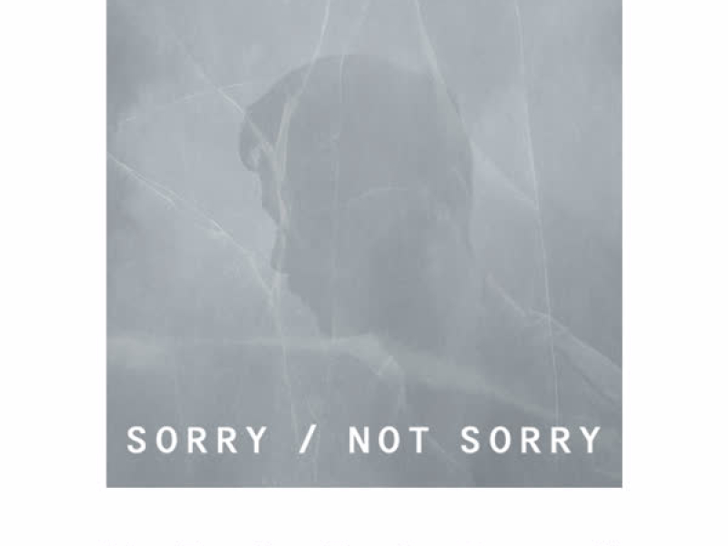 Sorry/not Sorry (Single)