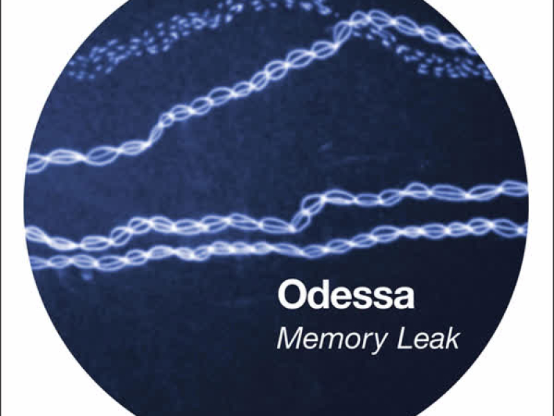 Memory Leak