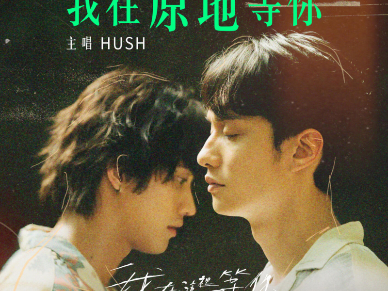 Here I Wait (Single)