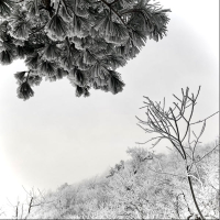 hãy cho con chịu đau khổ thay em (Winter Version) (Single)