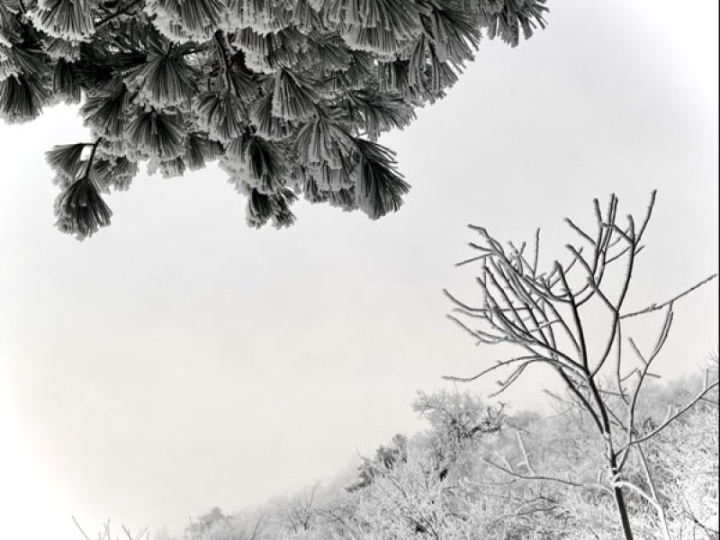 hãy cho con chịu đau khổ thay em (Winter Version) (Single)