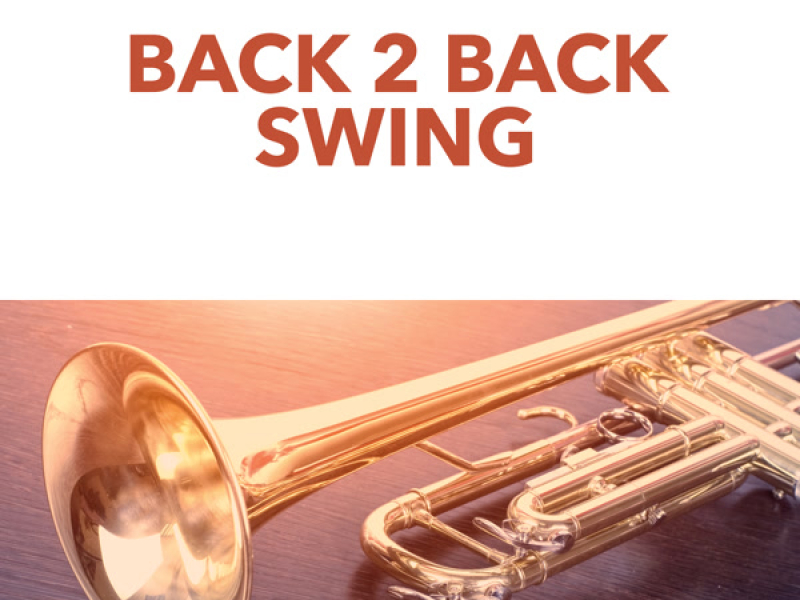 Back 2 Back Swing