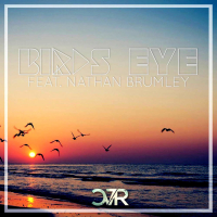 Birds Eye (feat. Nathan Brumley) (Single)