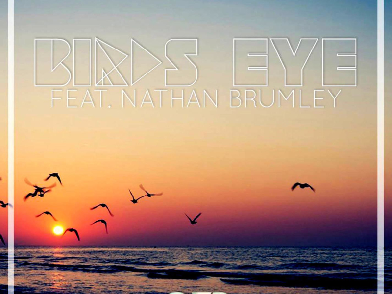 Birds Eye (feat. Nathan Brumley) (Single)