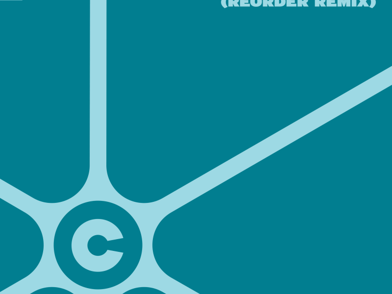 The Legacy (ReOrder Remix) (Single)