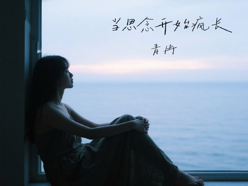 当思念开始疯长 (Single)