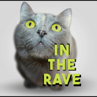 In The Rave (Single)