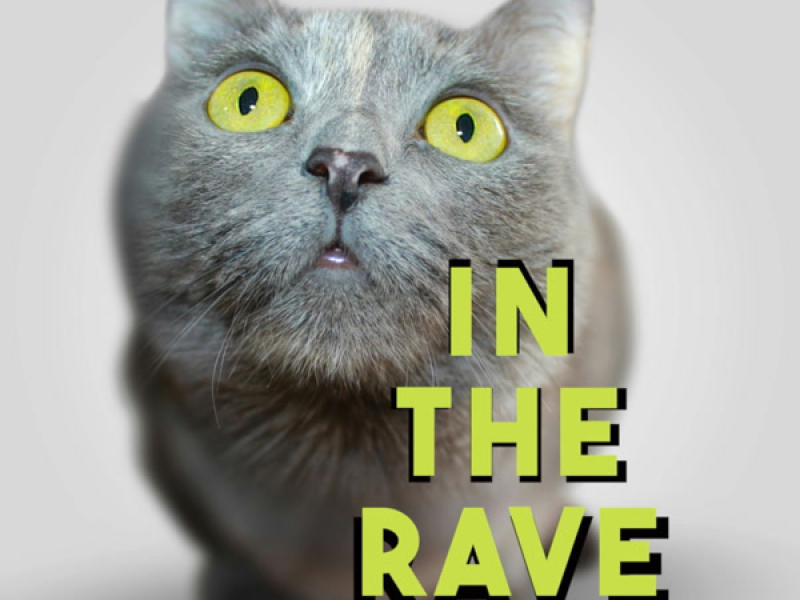 In The Rave (Single)