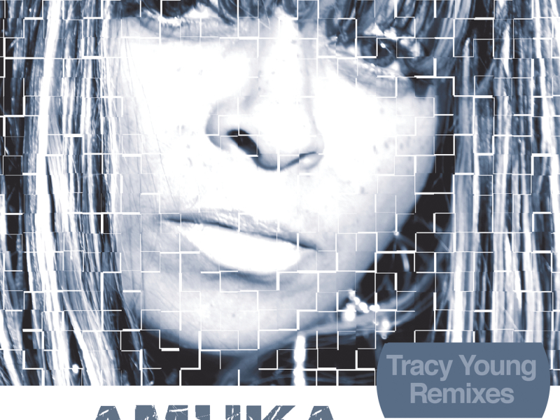 Craving (Tracy Young Remixes)