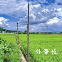外婆谣 (Single)