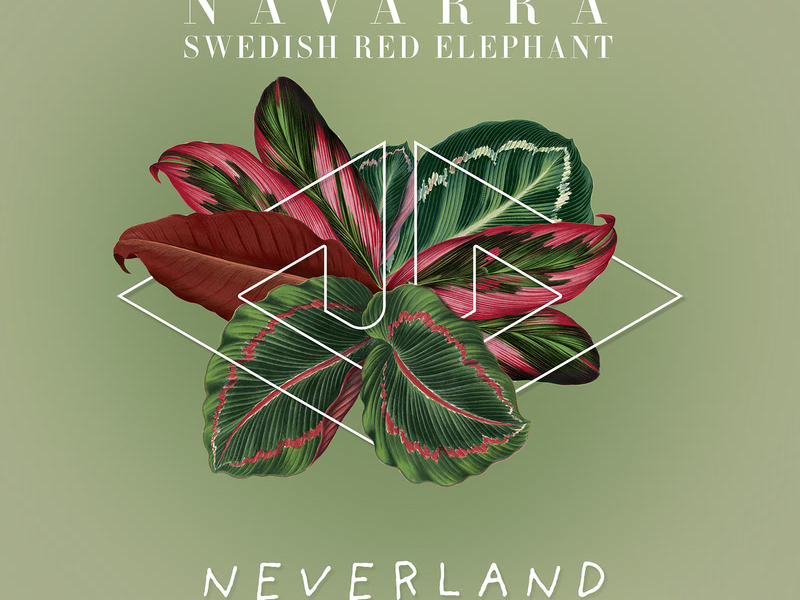 Neverland (Single)