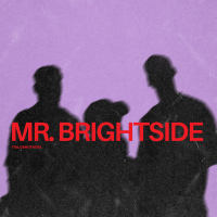 Mr. Brightside (Single)