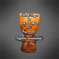 Xigubhu xanamonhla (Single)