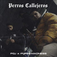 Perros Callejeros (Single)