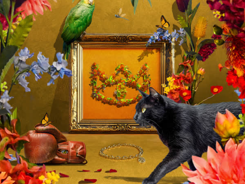 Two Shoes (Live at Sydney Opera House) (Single)