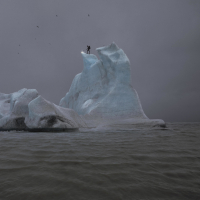 Accelerate Every Voice (Single)