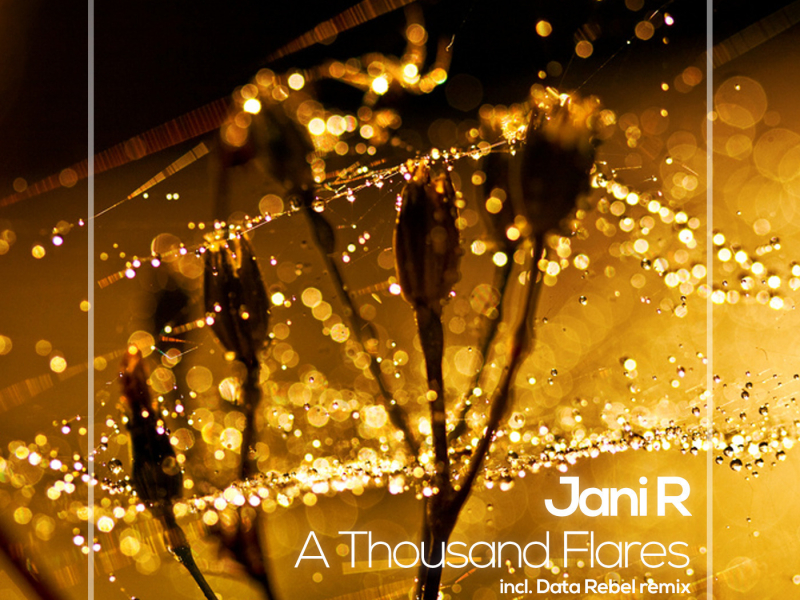 A Thousand Flares (Single)