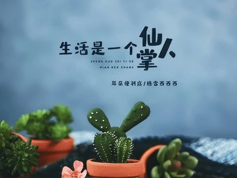 生活是一个仙人掌 (Single)