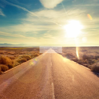 Travel Guide (Single)