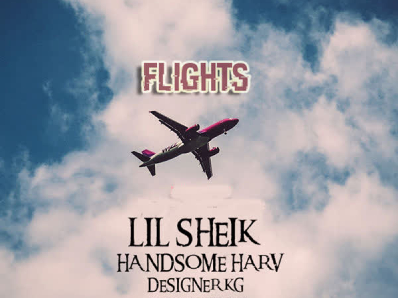 Flights (Single)