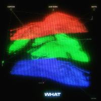 WHAT (Single)