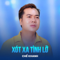 Xót Xa Tình Lỡ (Single)