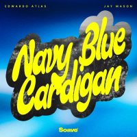 Navy Blue Cardigan (Single)