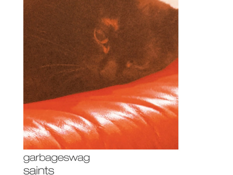 garbageswag (Single)