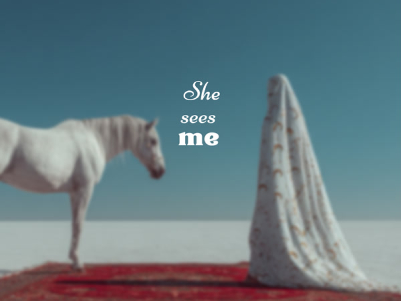 She Sees Me (Single)