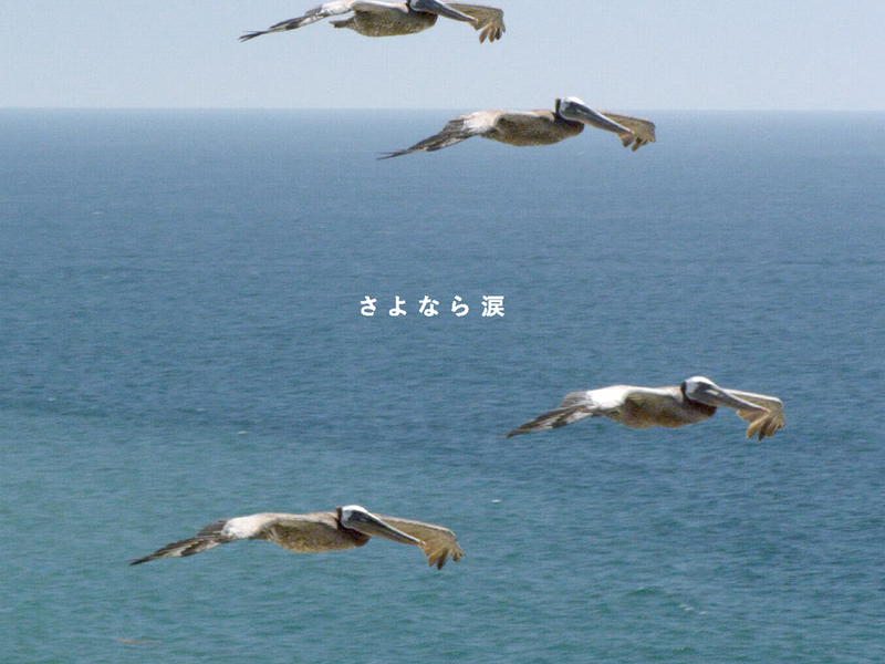 Sayonara Namida (Single)