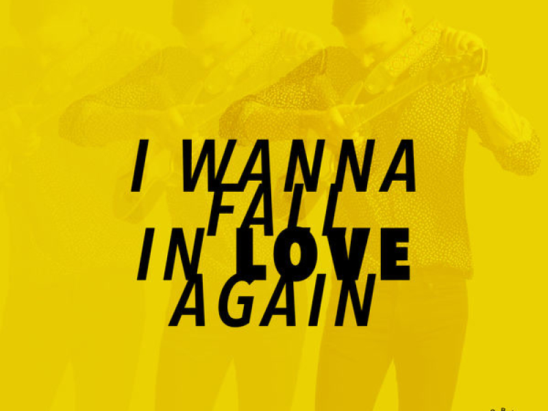 I Wanna Fall In Love Again (Single)