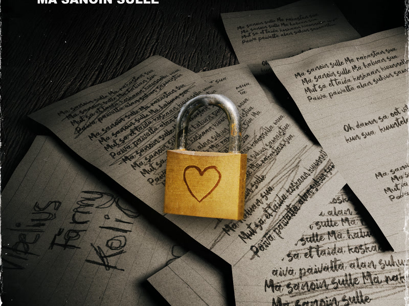 Mä Sanoin Sulle (Single)