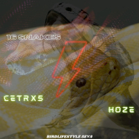 16 Snakes (Single)