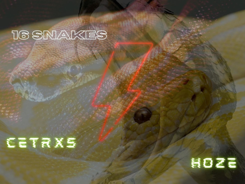 16 Snakes (Single)