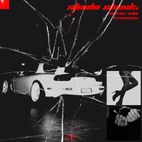 Steelo Check. (Single)