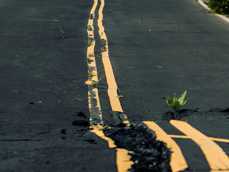 STRAIGHT LINE (Single)